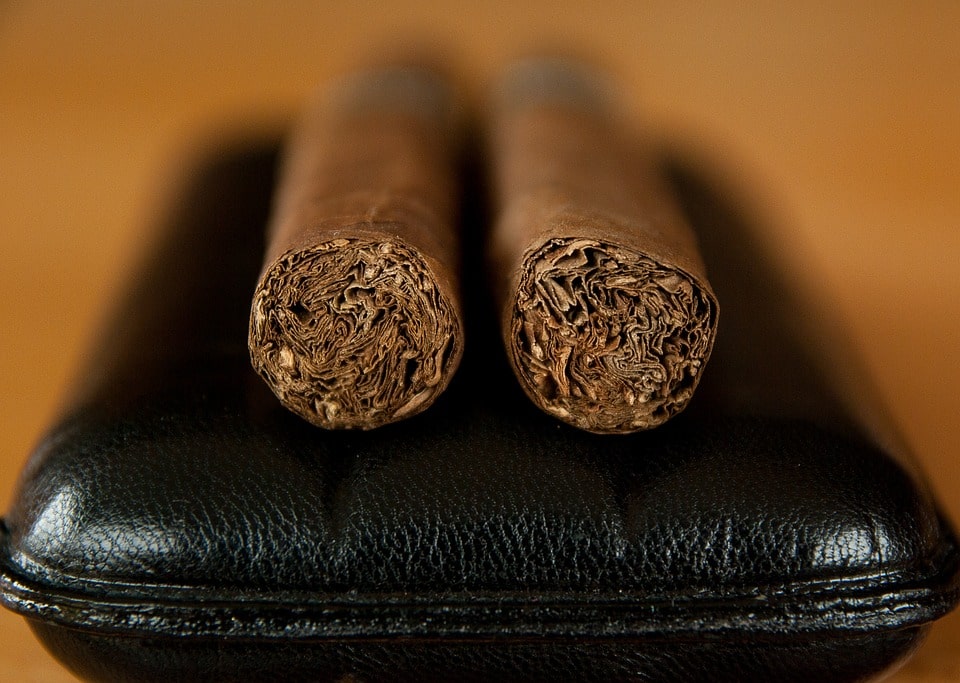 Можно ли выращивать табак в домашних условиях?
