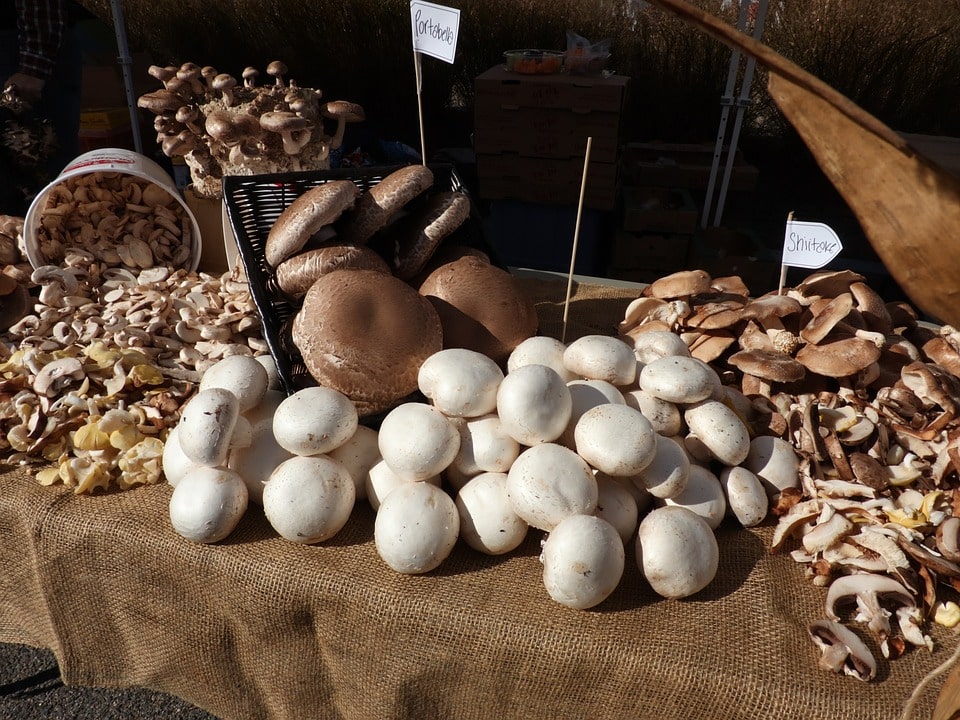 Как продавать грибы домашнего производства